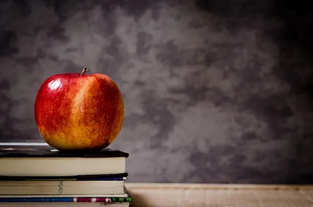 Cómo Fomentar el Acceso a la Educación Inclusiva