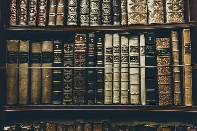 Todo lo que Debes Saber sobre la Educación Inclusiva