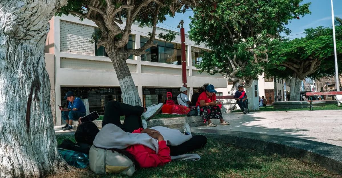 Cómo Fomentar el Acceso a la Educación para Todos