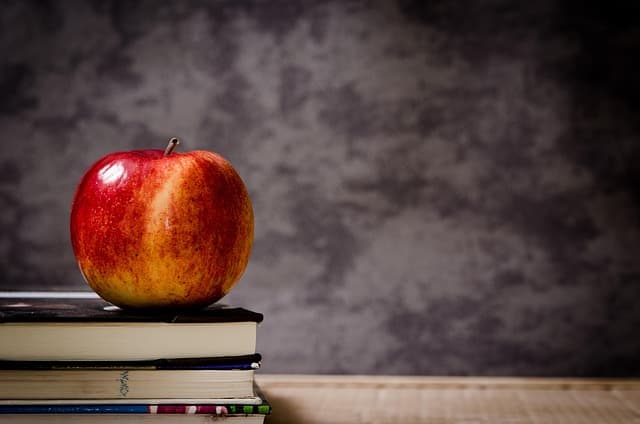 Cómo Fomentar el Acceso Universal a la Educación Inclusiva